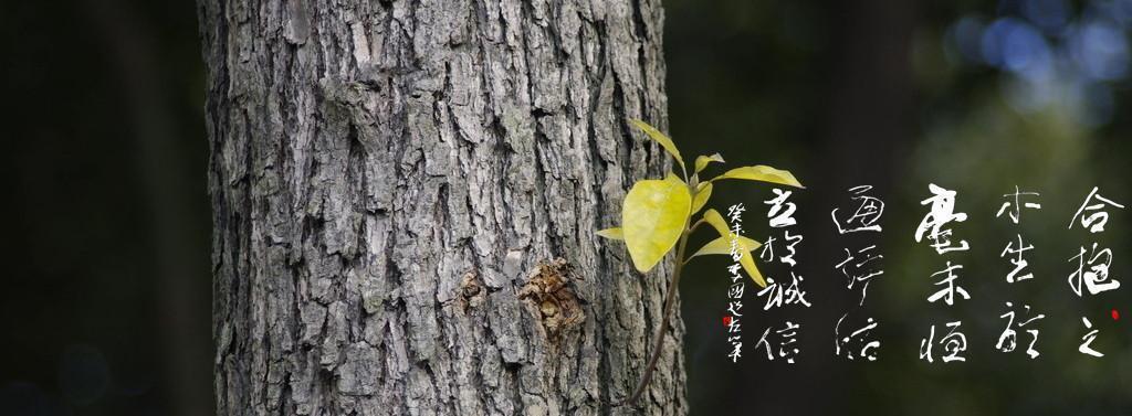 恒通宗旨